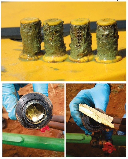 Entupimentos de filtros de pulverizadores com resíduos de produtos aplicados sem uma rigorosa higienização da máquina após o uso