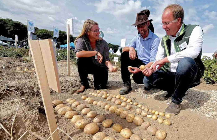 PotatoEurope 2026 destaca ventilação em armazenagem