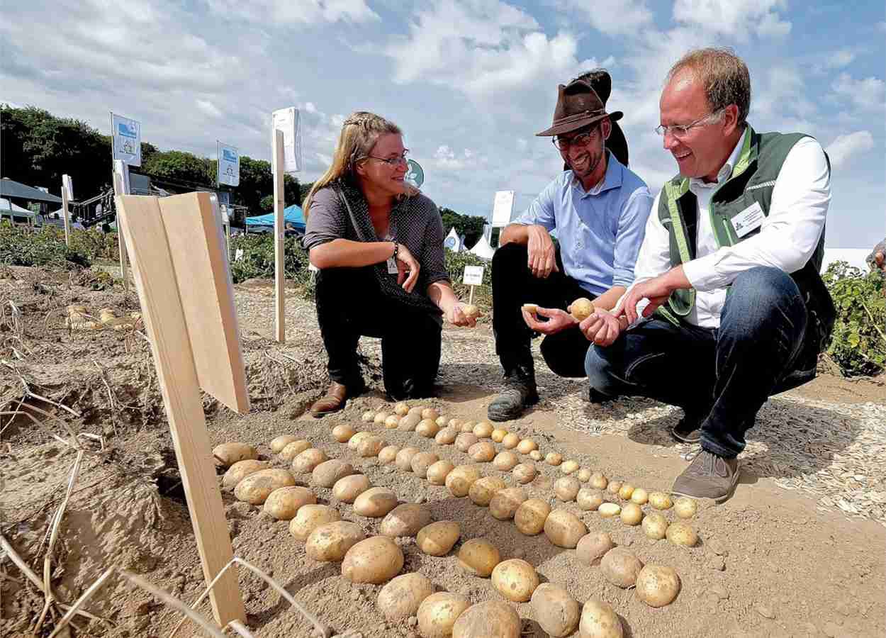 PotatoEurope 2026 destaca ventilação em armazenagem