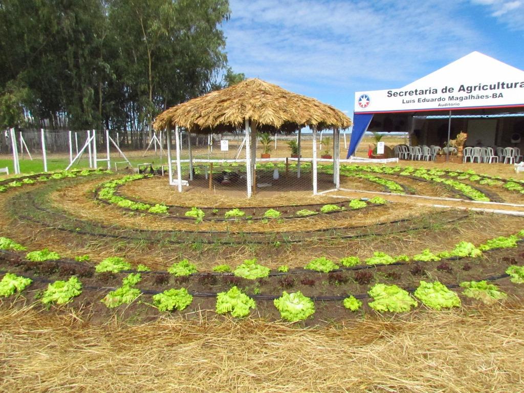 ​Do pequeno ao grande produtor, Bahia Farm Show 2017 garante inovação no dia a dia do campo