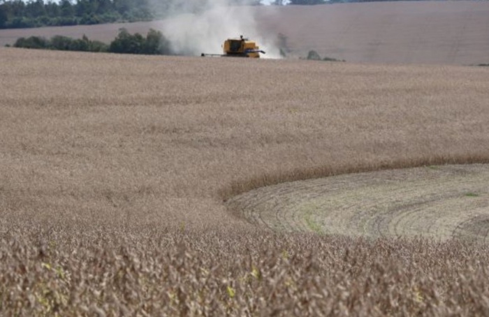 RS Safra 2025/26: colheita da soja alcança 10% da área total