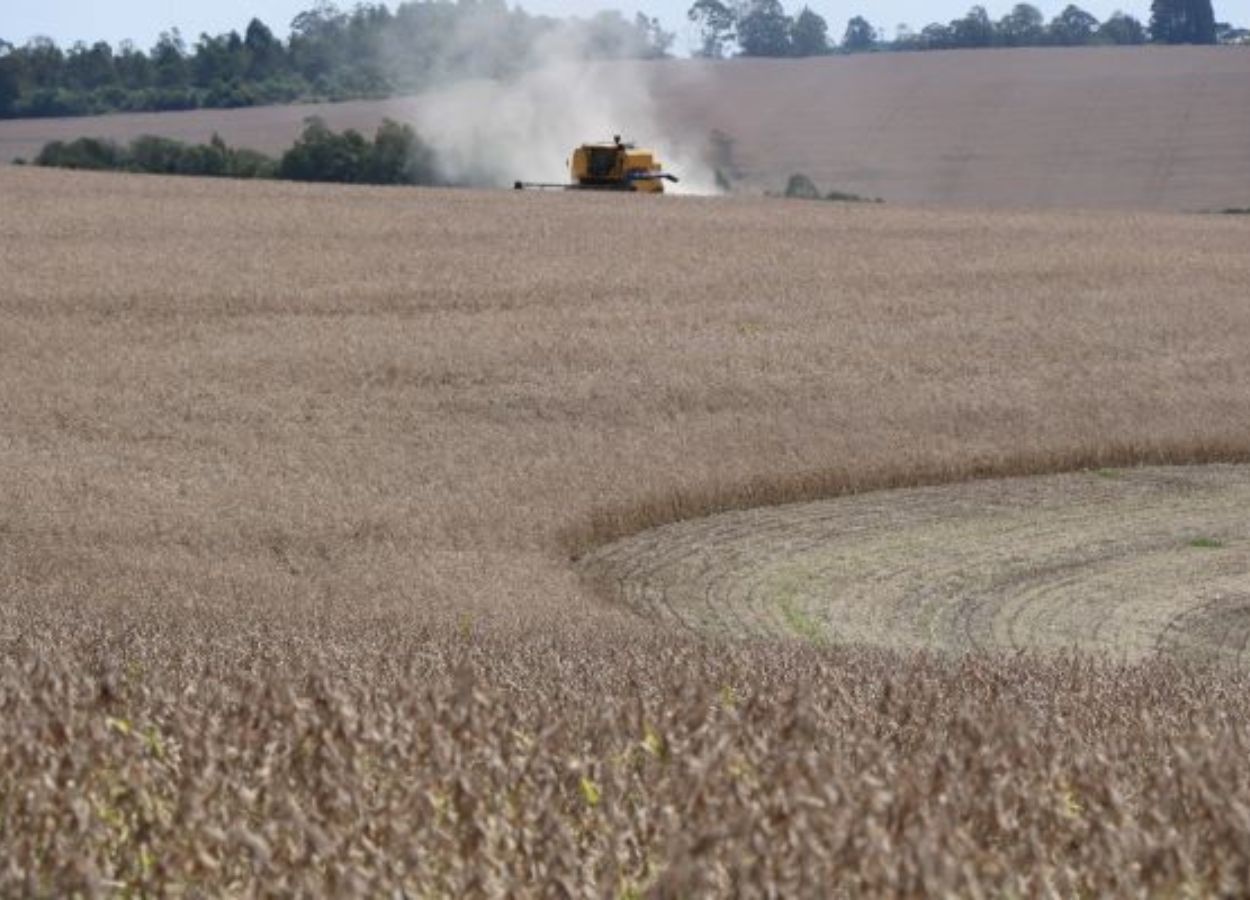 RS Safra 2025/26: colheita da soja alcança 10% da área total