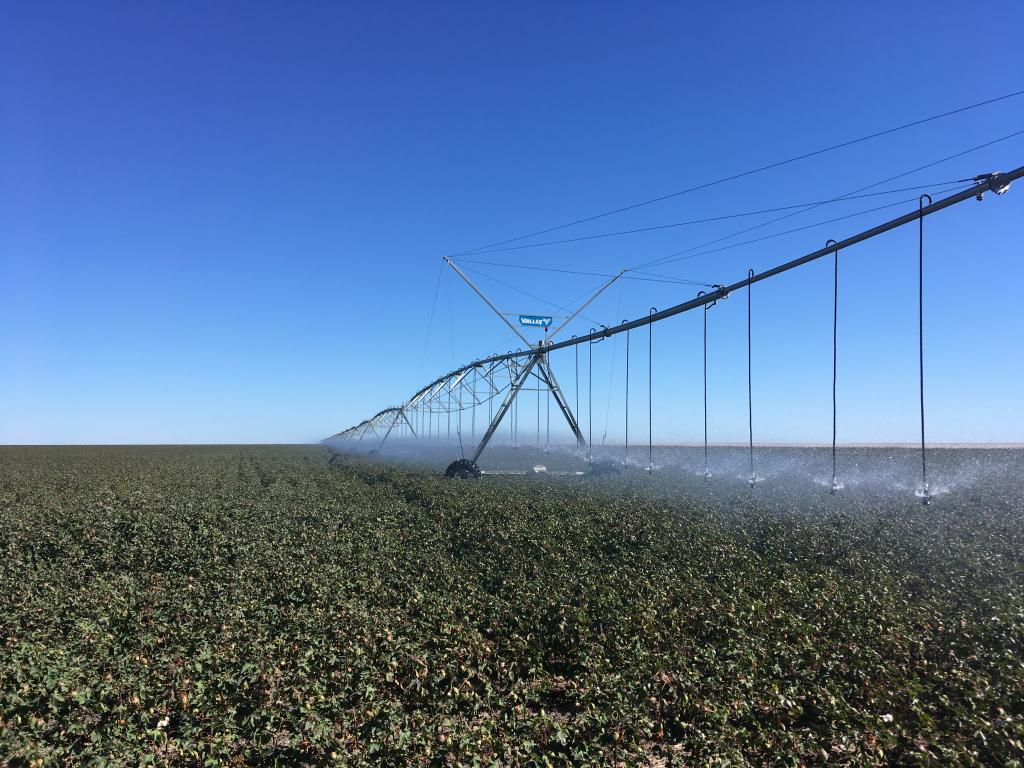 Valley prepara apresentação de novos produtos na Agrishow 2019