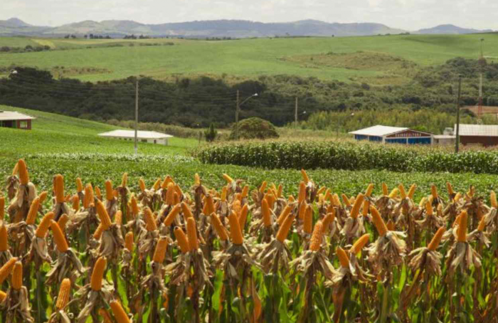 Programa Terra Boa 2024 é lançado em Santa Catarina