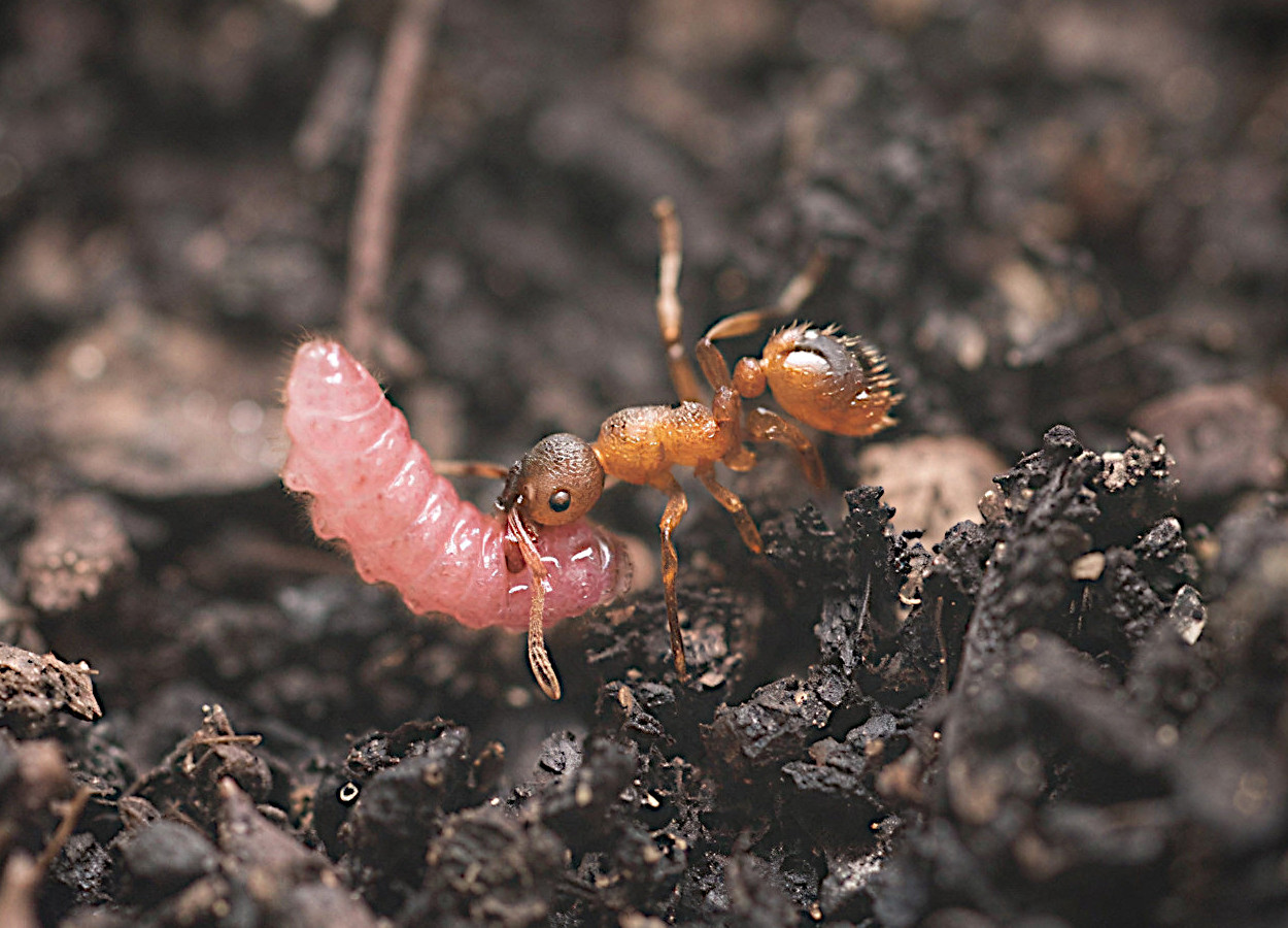 Foto:&nbsp;Vibrant Lab, Torino