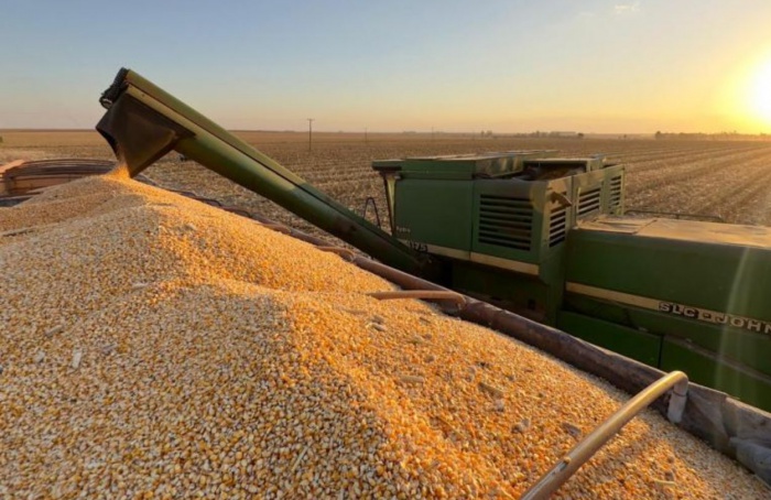 Colheita do milho 2ª safra avança nas regiões Sul e Norte de Mato Grosso do Sul