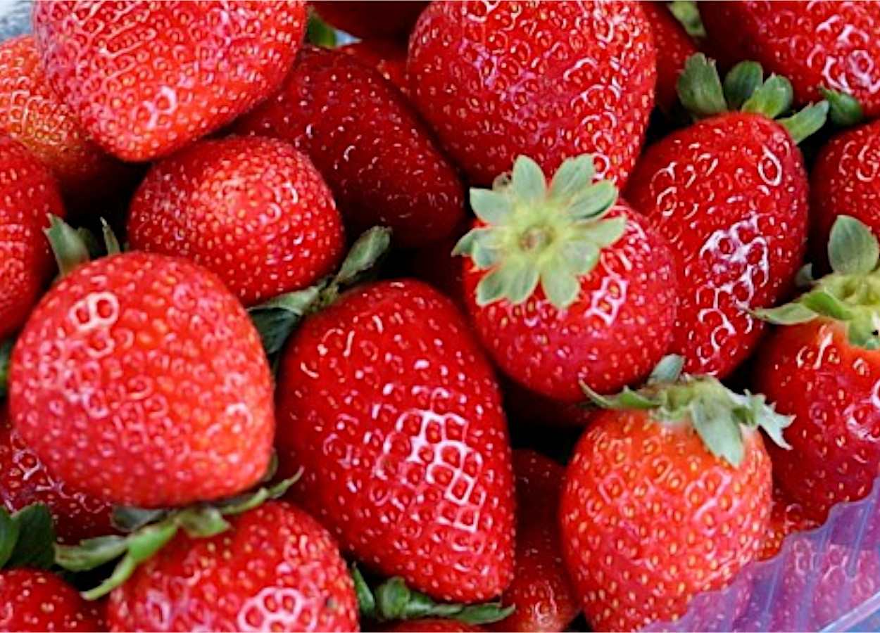 Foto:&nbsp;Gustavo Marchesan