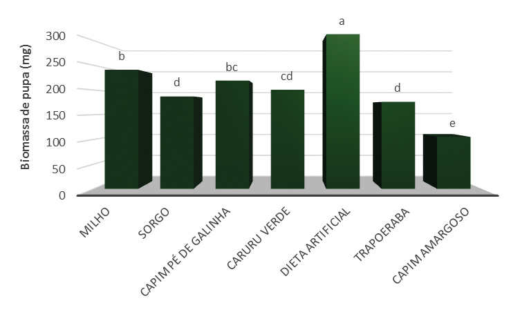 Figura 6 - Biomassa de pupas de Spodoptera frugiperda (média ± EP) (mg) mantidas sob alimentação exclusiva de diferentes plantas daninhas, sorgo-selvagem e milho, avaliada em laboratório. Médias seguidas de mesma letra não diferem entre si pelo teste de Dunn a 5% de probabilidade. Adaptado de Moraes et al., 2019