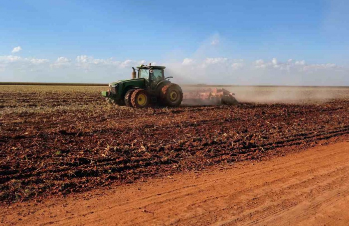 Colheita do milho alcança 10,2% do total estimado em MS