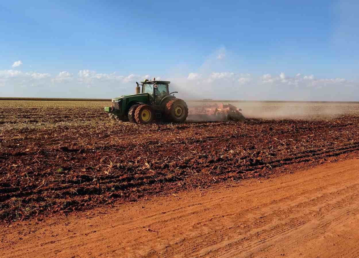 Colheita do milho alcança 10,2% do total estimado em MS