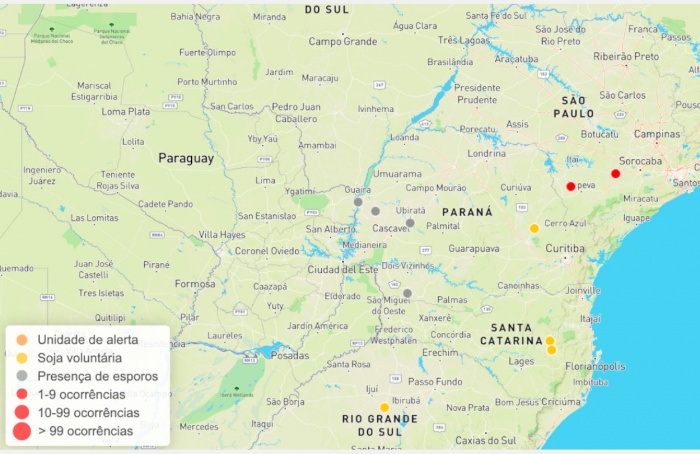 Primeiros casos de ferrugem-asiática foram registrados na safra 2024/25