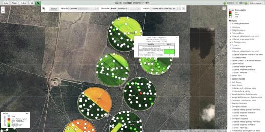 Gestão integrada de imagens de drones e satélites com dados melhora produtividade