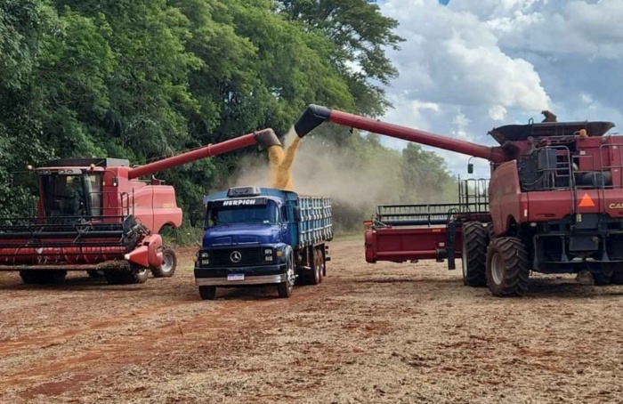 Copagril recebe primeira soja da safra 2025/26