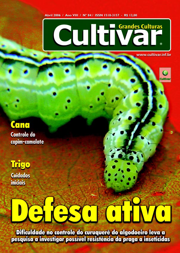 Defesa ativa