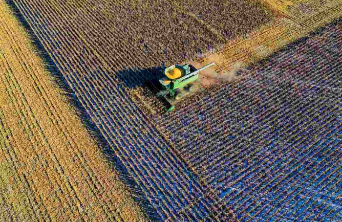 Agro mantém alta e reforça superávit comercial do país