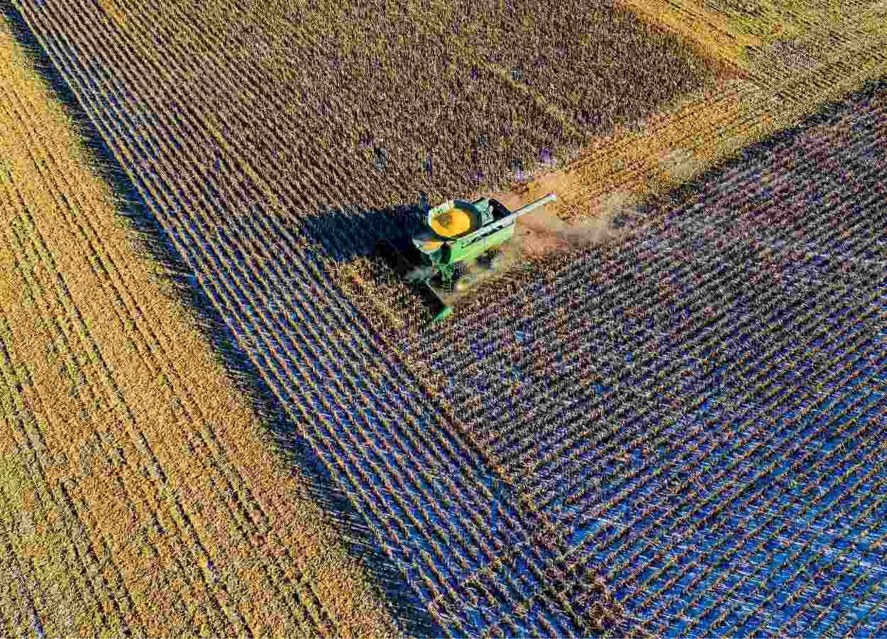 Agricultural sector maintains growth and reinforces the country's trade surplus.