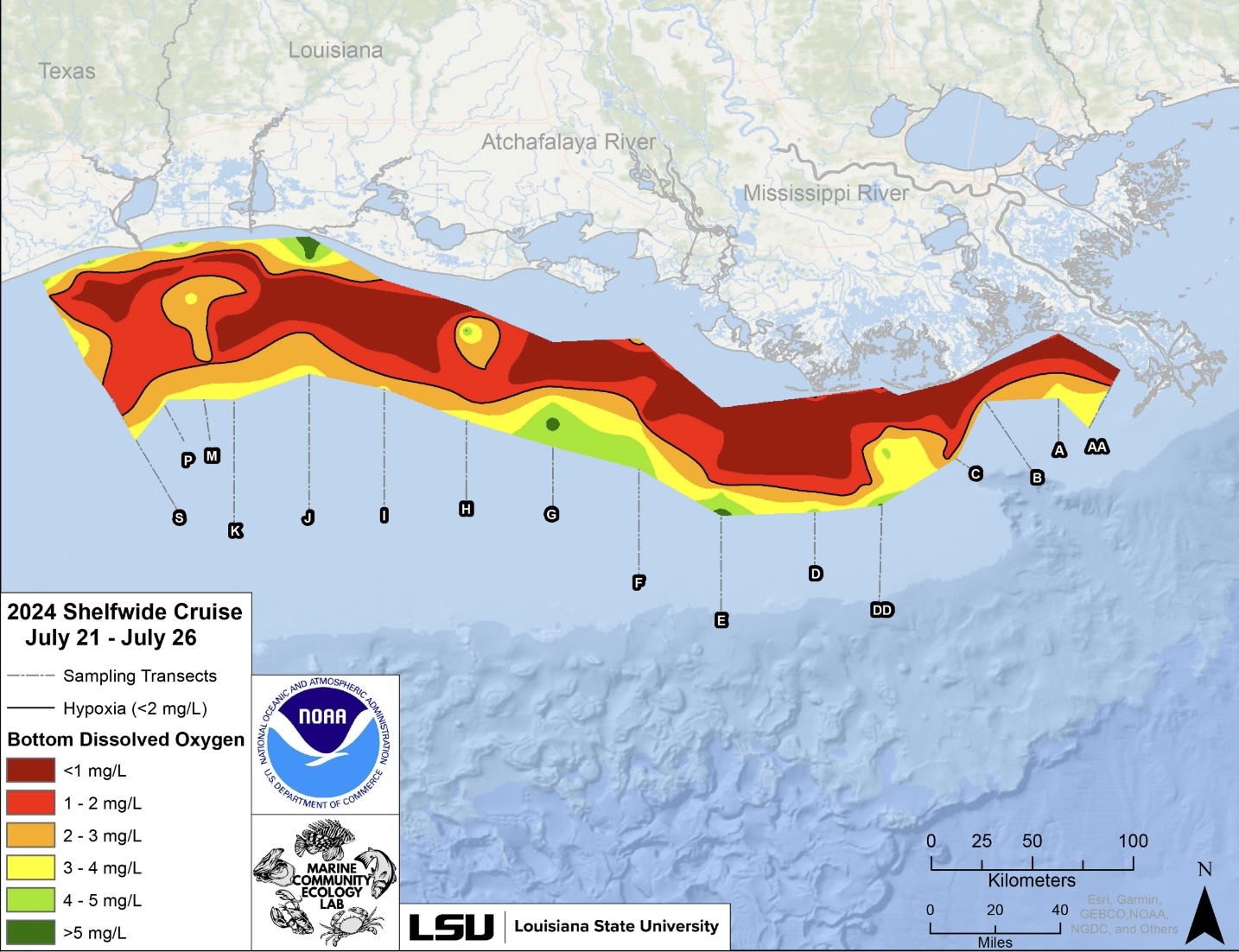 Mapa da zona de hipóxia medida no Golfo, de 21 a 26 de julho de 2024: a área vermelha indica 2 mg/L de oxigênio ou menos, o nível considerado hipóxico, no fundo do fundo do mar -&nbsp;Fonte: NOAA/LUMCON/LSU