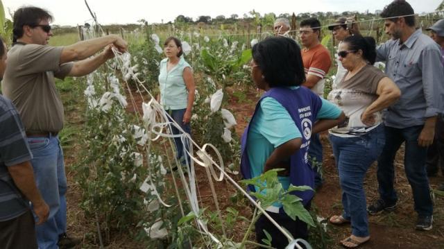 Dia de Campo apresenta o Tomatec em Trajano de Moraes (RJ)