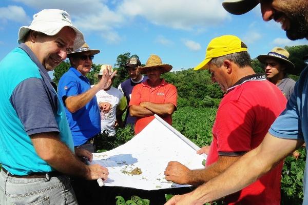 Manejo Integrado de Pragas é intensificado na região de Santa Maria, RS