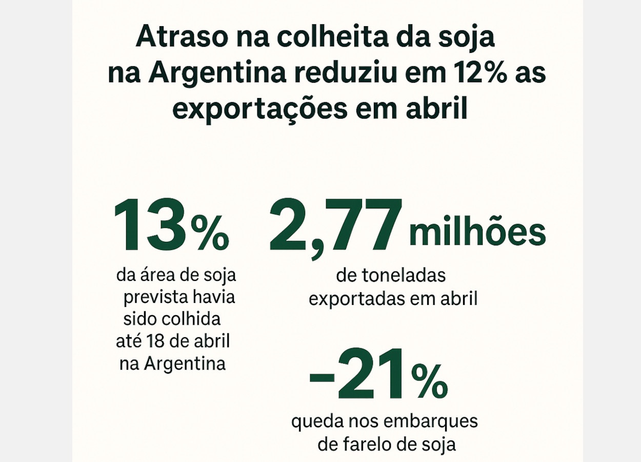 Atraso na colheita da soja reduziu em 12% as exportações agrícolas argentinas em abril