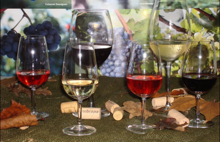 Abertas as inscrições para curso de elaboração de vinhos e suco de uva da Embrapa