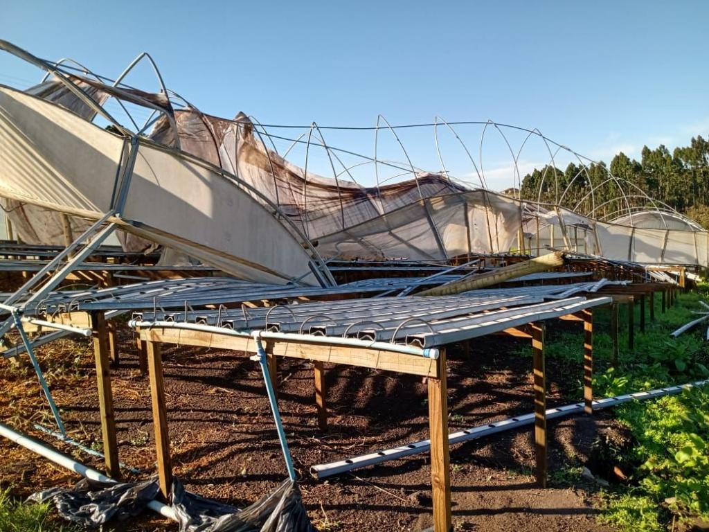 “Ciclone bomba” deixa estragos em propriedades rurais do Paraná
