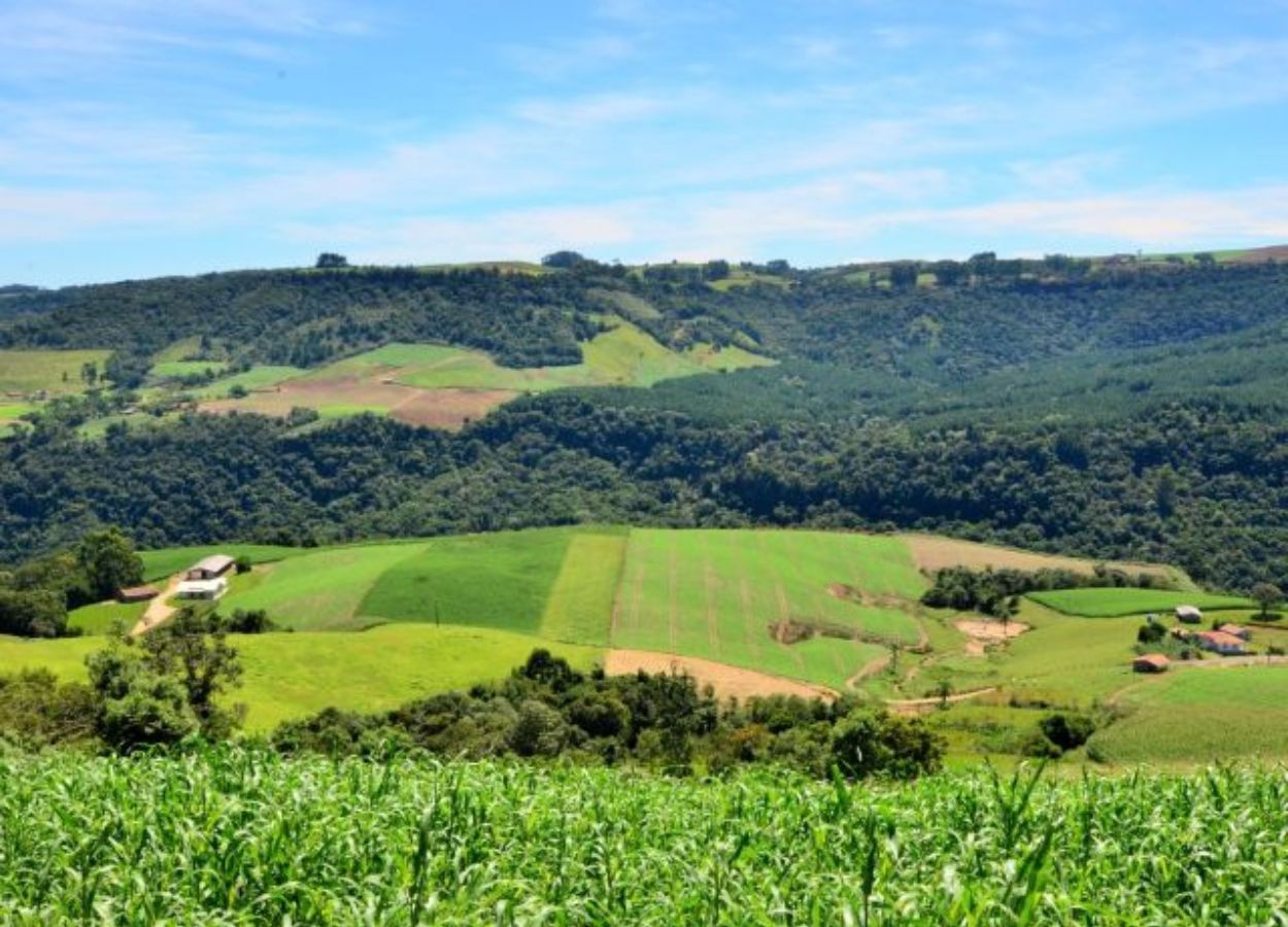 Levantamento da Epagri mapeia preço das terras agrícolas em Santa Catarina