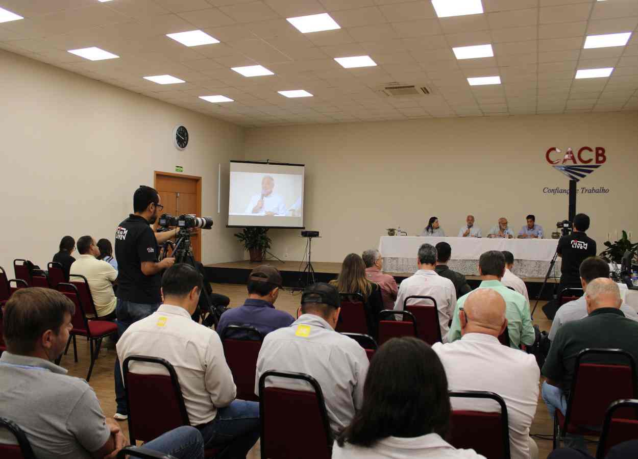 Trigo deve perder área em São Paulo na próxima safra