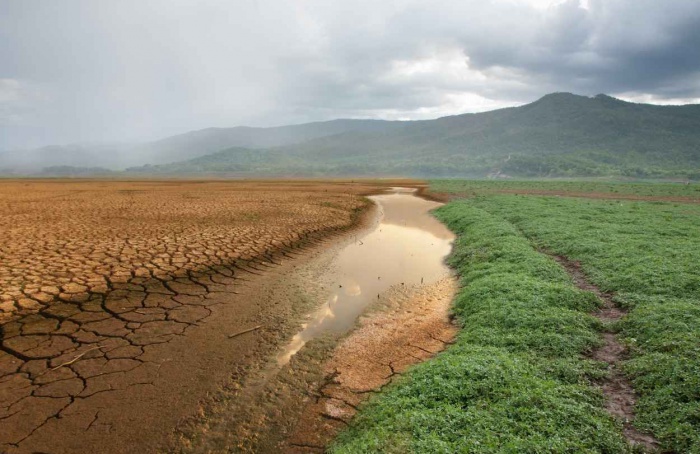 Agronegócio busca resiliência frente às mudanças climáticas