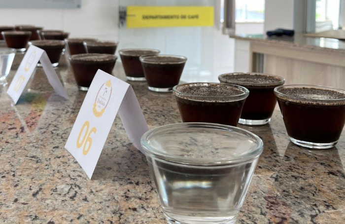 Coopercam registra cafés de alta qualidade na safra 2025
