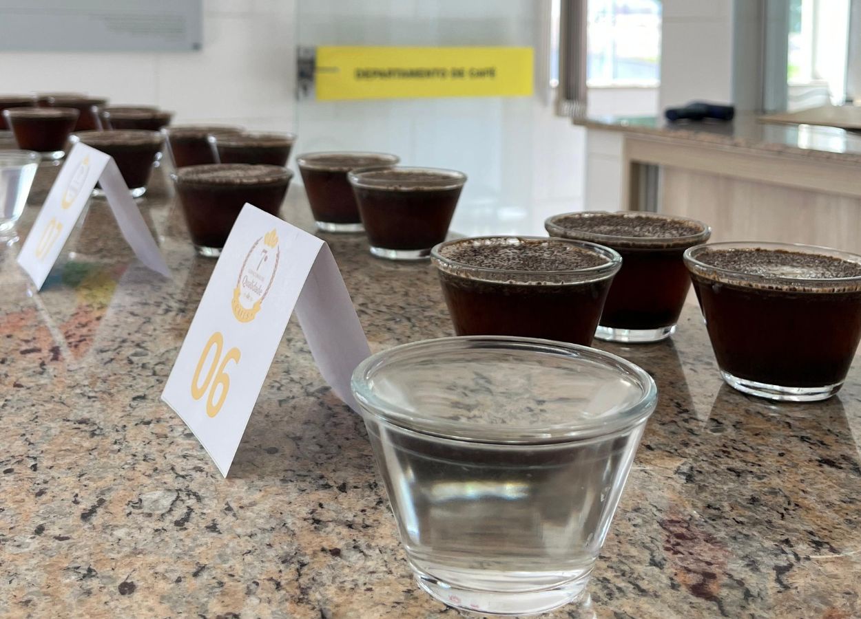 Coopercam registers high-quality coffees in the 2025 harvest.