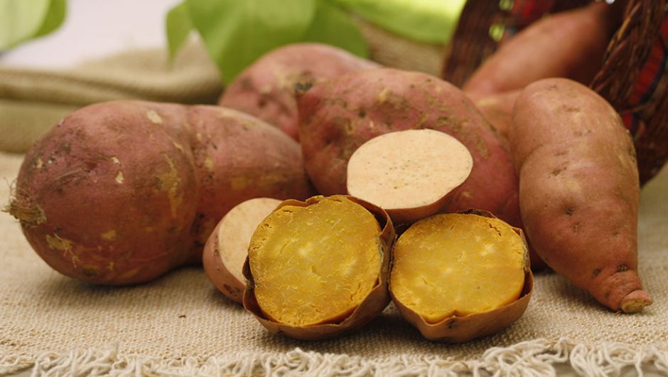 Fotos: Paulo Lanzeta