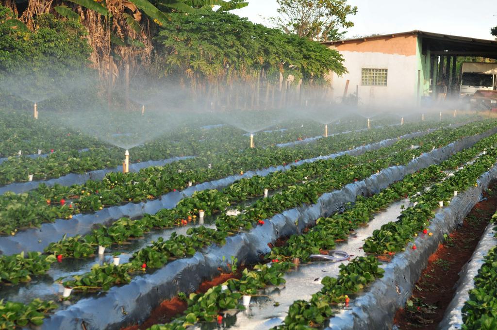 ​Comissão aprova relatório que modifica regras da Política Nacional de Irrigação​