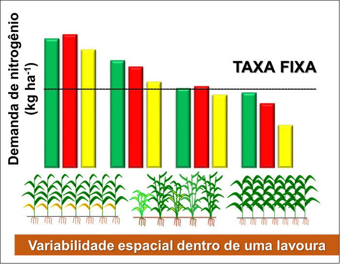 <b>Figura 1 -</b> variabilidade espacial da demanda de nitrogênio pelas plantas em uma lavoura. Fonte: Vian et al. (2021)