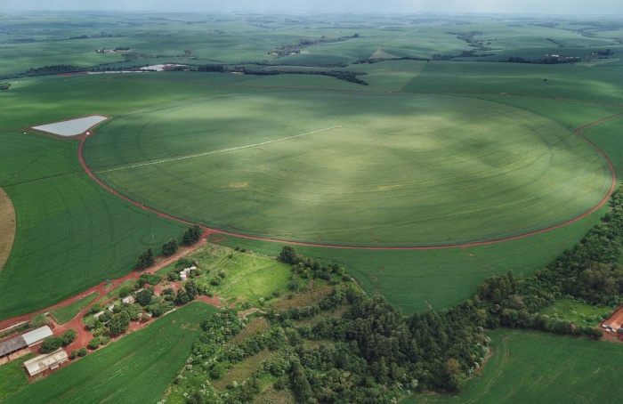 The price of agricultural land in Paraná decreased by 5%