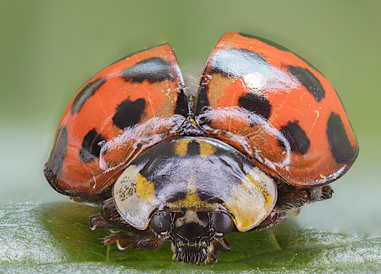 Foto:&nbsp;Diego Delso - CC 4.0