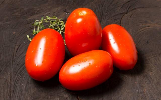 Dia de Campo apresenta nova proposta para plantio de tomate
