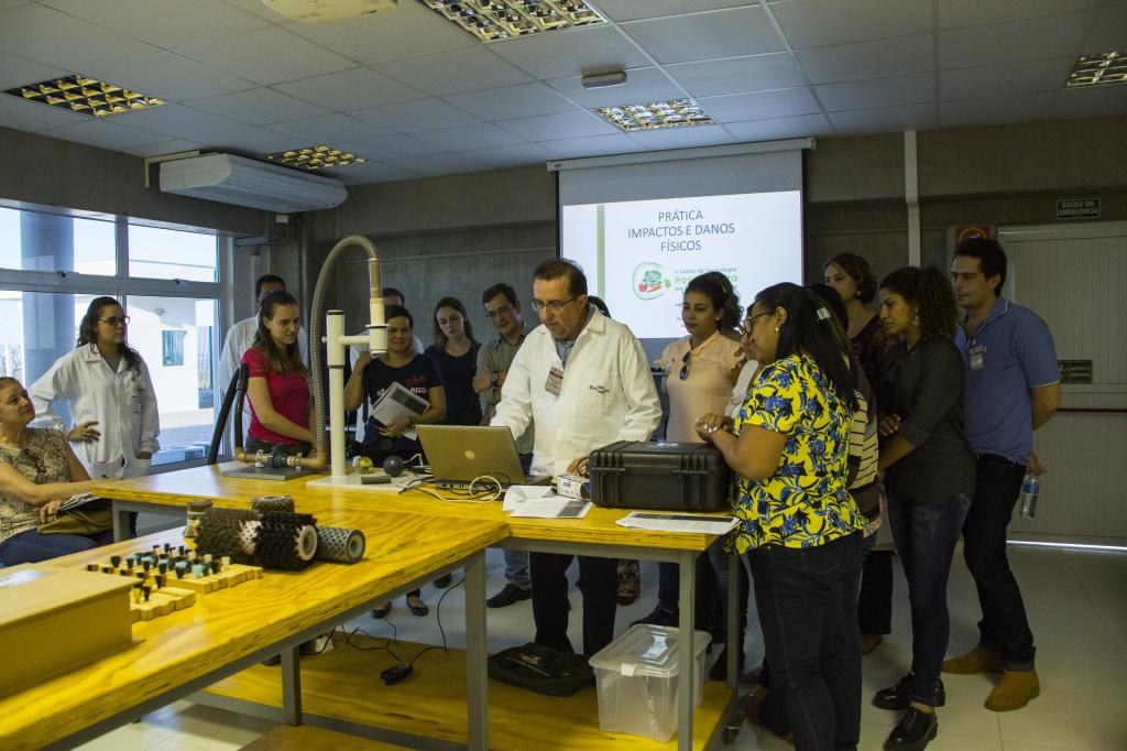 Chamada pública do Ministério do Meio Ambiente seleciona trabalho de tecnologia pós-colheita