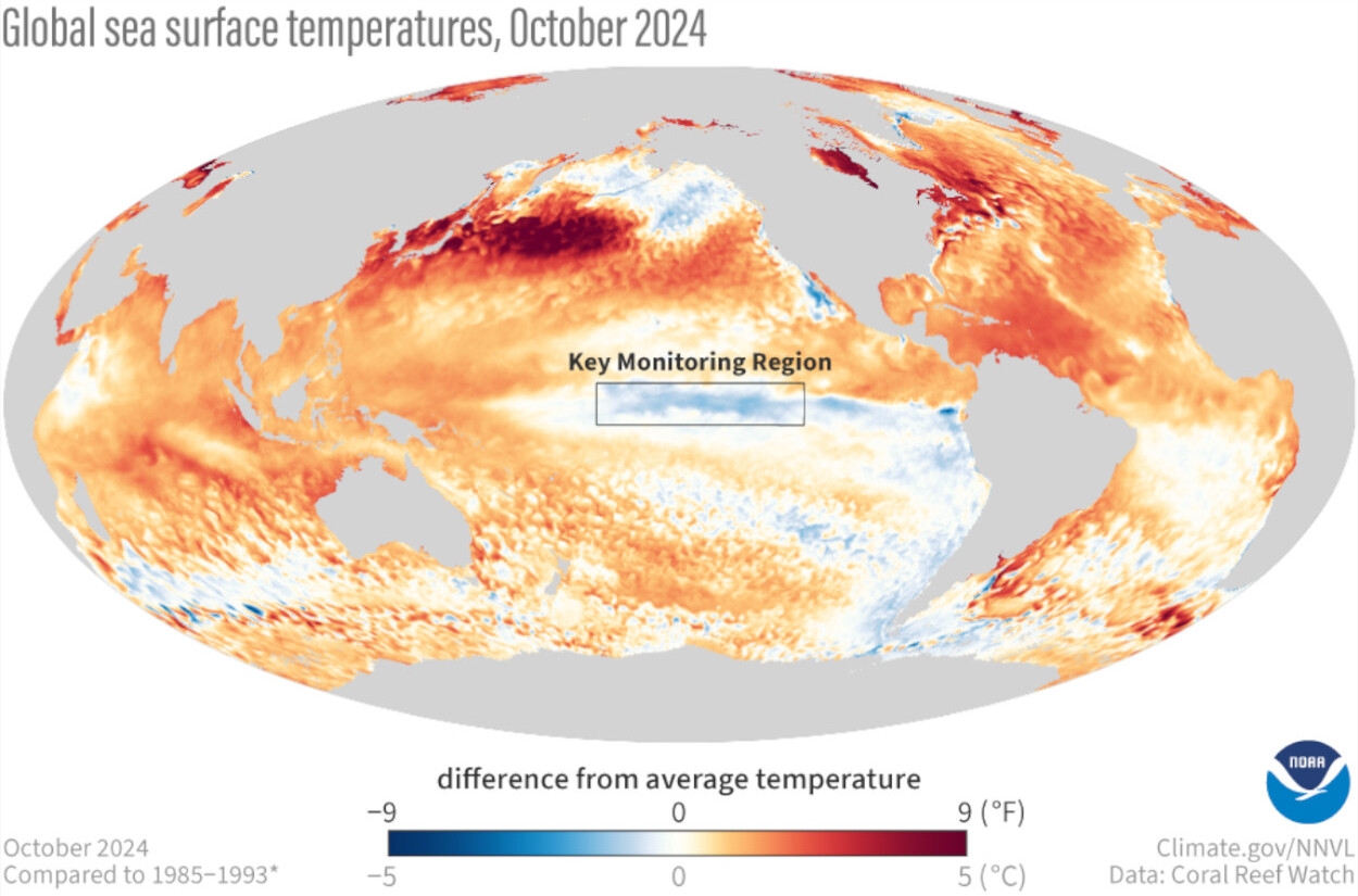 Diferença de temperatura da superfície do mar em outubro de 2024 em relação à média de 1985-1993. A caixa indica a localização da região de monitoramento Niño-3.4 ENSO no Pacífico tropical. A superfície do Pacífico tropical centro-leste está próxima da temperatura média, mas grande parte dos oceanos globais permanece mais quente do que a média