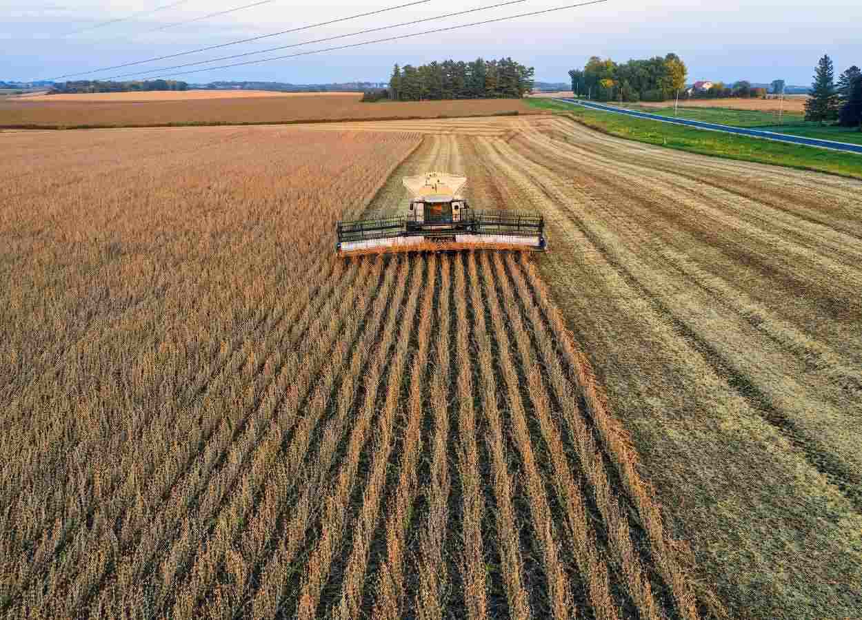Agro paulista acumula superávit de US$ 12,16 bi em 2026