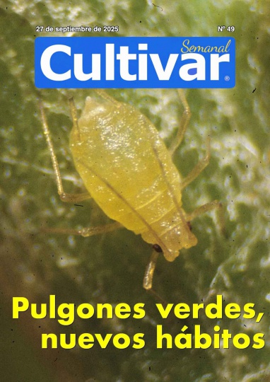 Cultivar Semanal 49