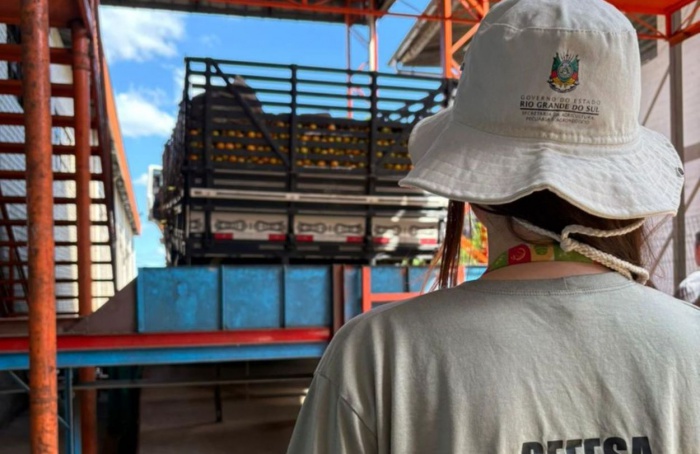 Força-tarefa reforça ações contra Greening no Rio Grande do Sul