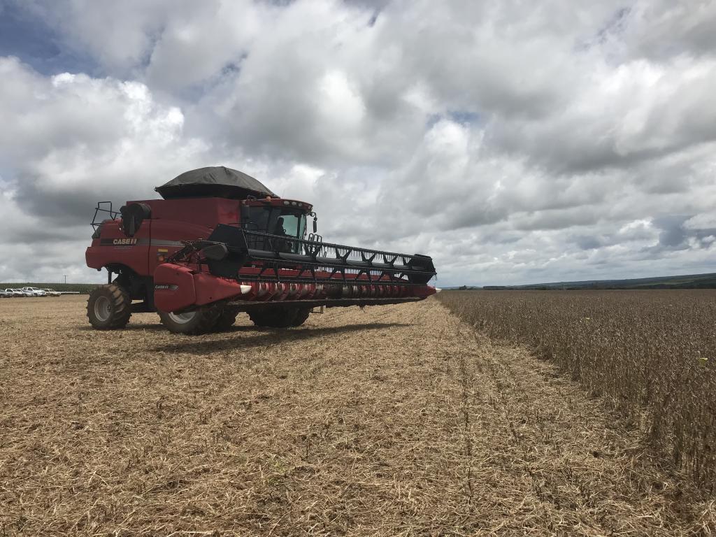 Agricultura tem a maior alta na geração de empregos no DF