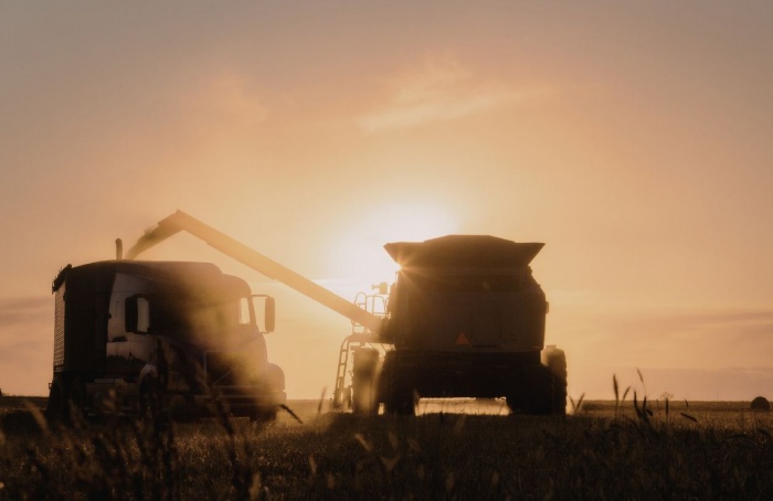 Exportações de soja disparam em março de 2026