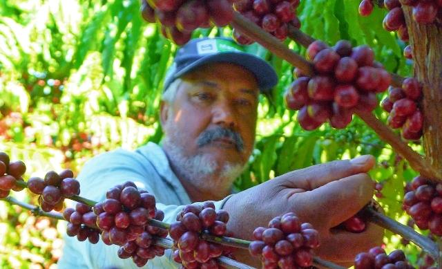Embrapa lança documentário sobre a produção de café Robusta fino em terroir Amazônico