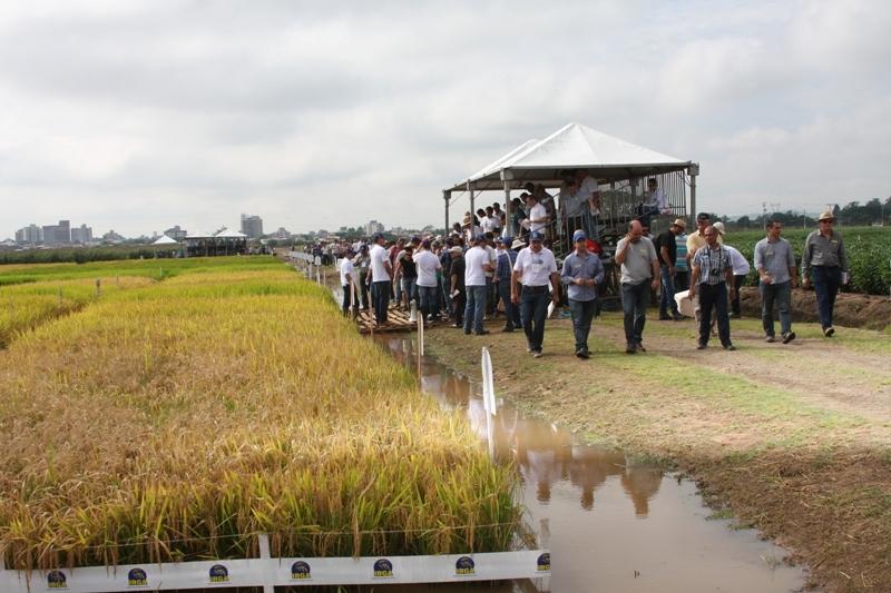 Irga realiza Dia de Campo Estadual no dia 1º de março