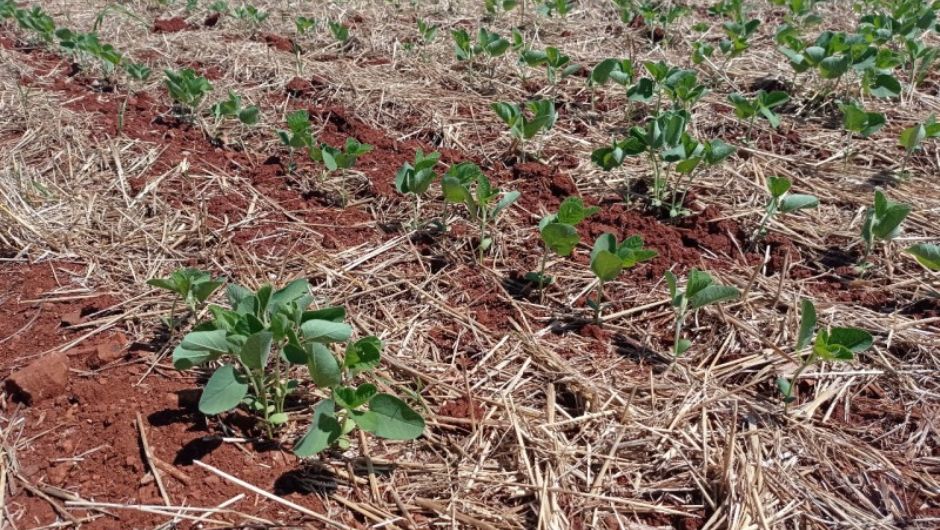 Foto: Deise Froelich