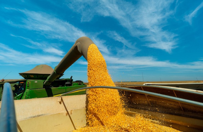 Produção de etanol de milho cresce em Mato Grosso