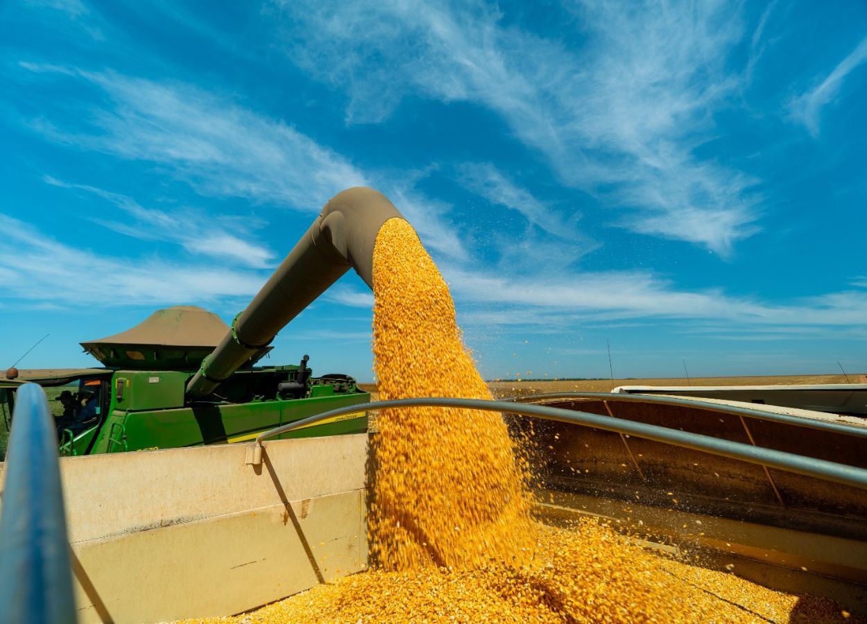 Produção de etanol de milho cresce em Mato Grosso