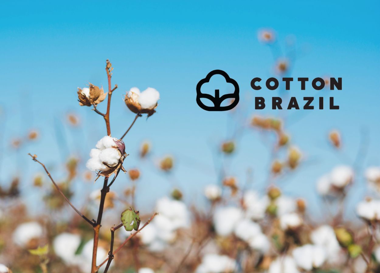 Egito e Turquia recebem missão do Cotton Brazil